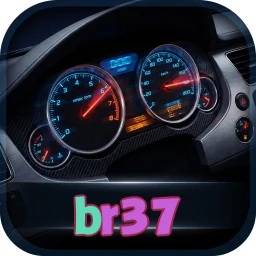 br37